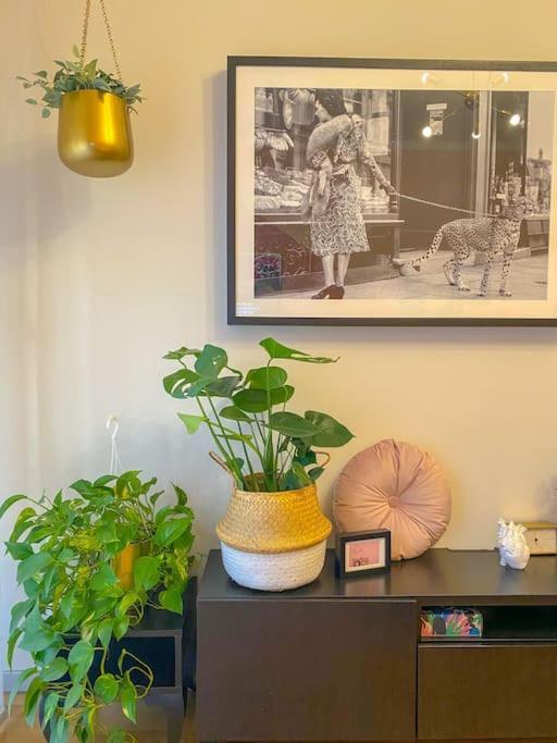 A Casa Di Gin Milano Villa Esterno foto